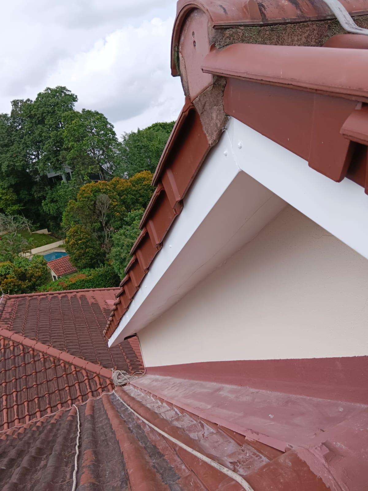 Spalling Concrete and Bathroom Ceiling Leaks: Common Causes, Warning Signs and Repair Approach